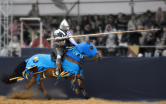 Knights of Valour
